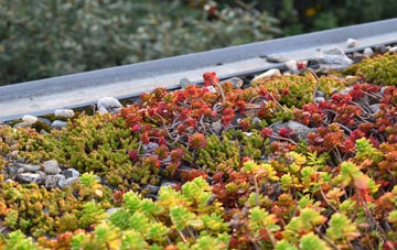 the cost of Verwood green roof installation