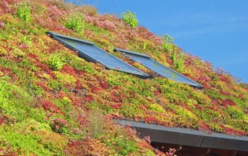 Verwood living roof systems