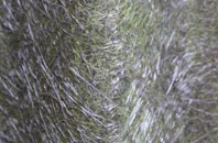 Verwood fibreglass roof work